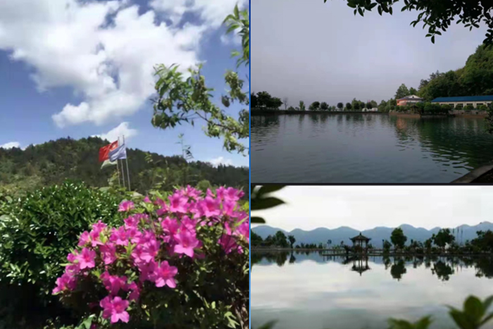 打造觀光旅游大鯢基地